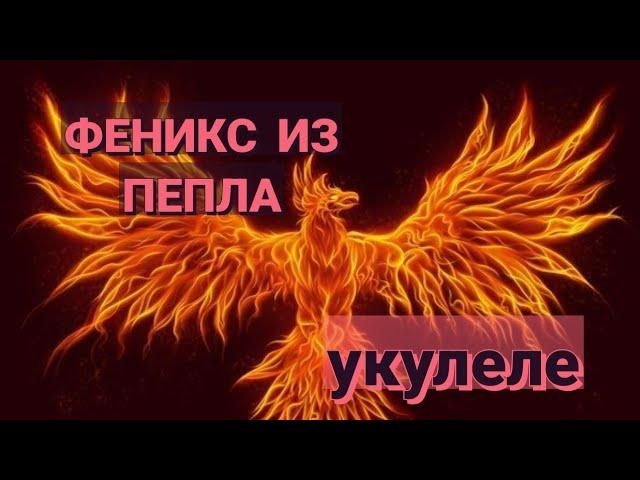 ФЕНИКС ИЗ ПЕПЛА (Р.Газманов), вариант на укулеле. #феникс #фениксизпепла #газманов