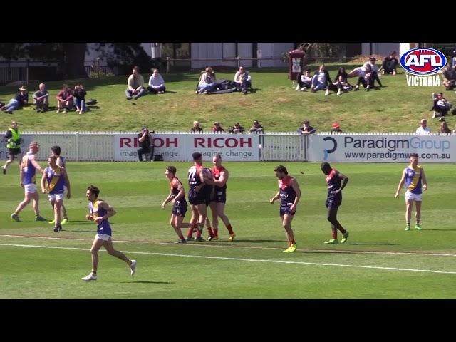 AFL Victoria Development GF - Casey Demons v Williamstown