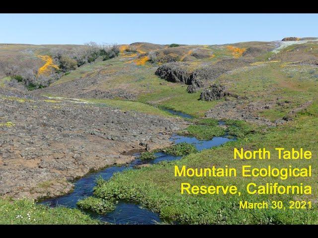 North Table Mountain Ecological Reserve