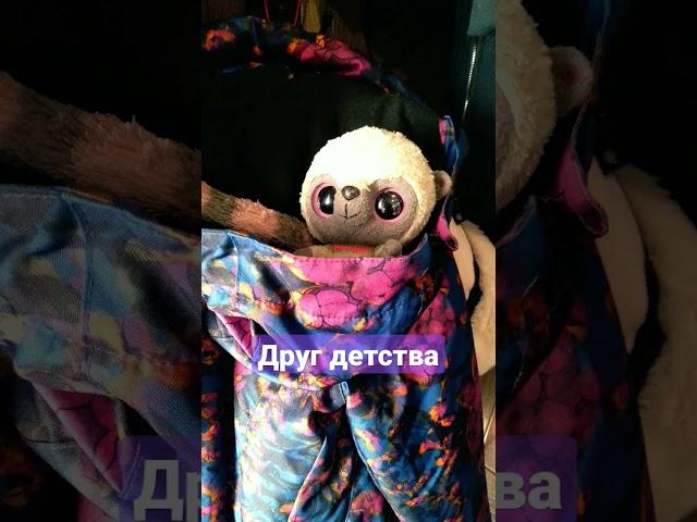 Друг детствапродолжение скоро...#shorts #лемур #хочуврек #милка #лайк #пушистики #видео #love