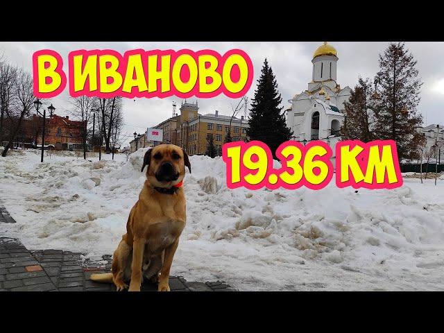 Пешком по г. Иваново 19.36 км