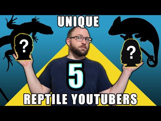 5 Unique Reptile YouTubers!