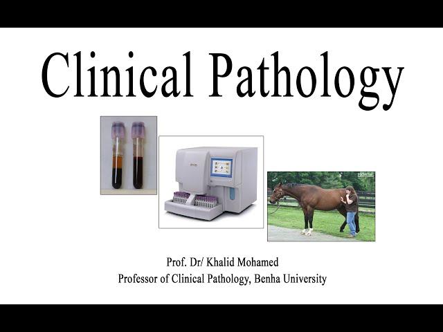 Vet Hematology Lecture 1 1 introduction to clinical pathology: Arabic tutorial