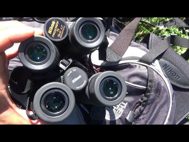 Comparison Nikon Prostaff 7S 10x42 vs Nikon Prostaff P7 10x42