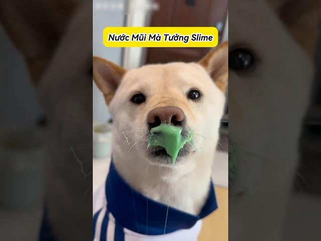 Slime Nước Mũi Của Cờ Hó Tiểu Bạch  #emthocreview #shorts #trend #viral #hàihước #giảitrí