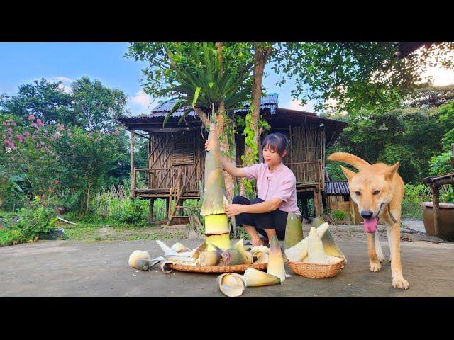 Picking chili in the garden, Gathering bamboo shoots, Building a woven house for new ducklings.