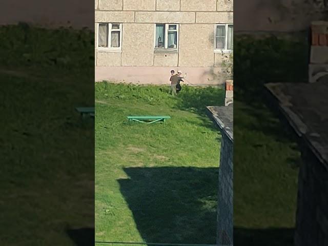 17 мая 2025 г.