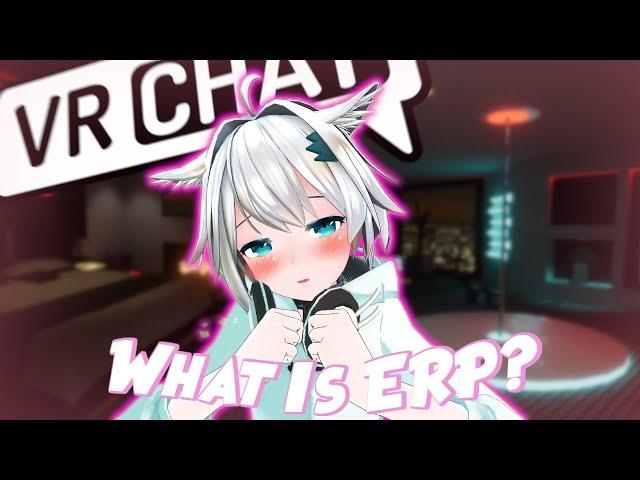 The Unspoken World of ERP | A VRChat Documentary