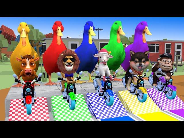 5 Giant Duck Cartoon,Cow,Mammoth,Elephant,Lion,Tiger Paint Wild Animals Fountain Crossing Animation