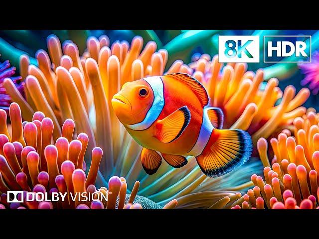 Ethereal Ocean Wonders in 8K HDR | Dolby Vision™
