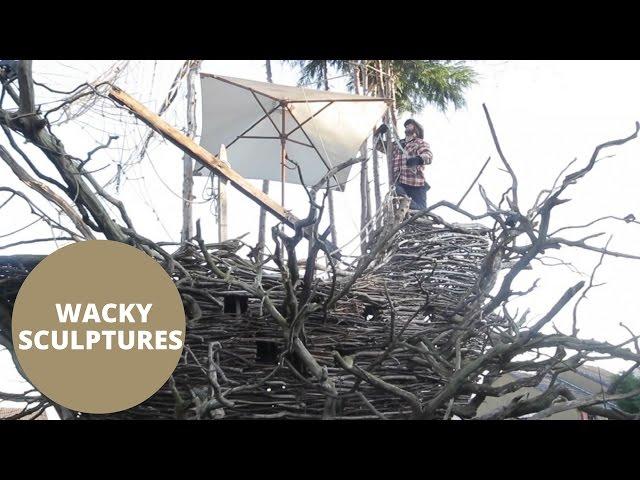 Sculptor creates wooden pirate ship in his back garden