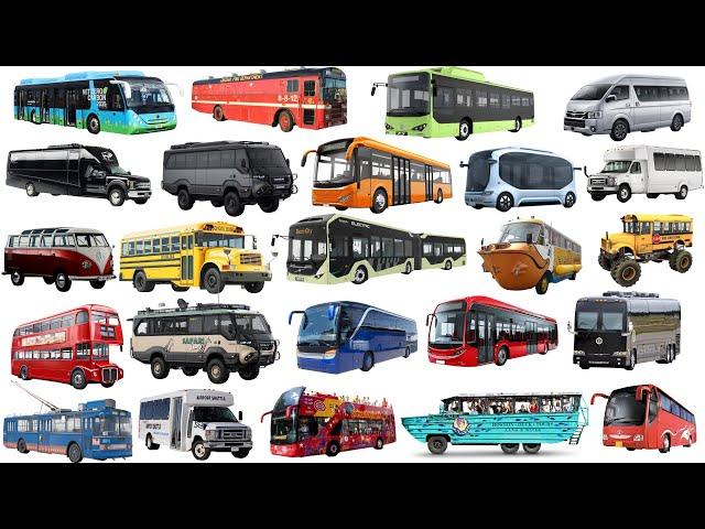 Bus for Kids | School Bus, City Bus, Police Bus, Amphibious Bus | Learn Bus Name, Vehicle Name