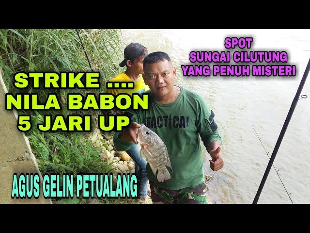 AGUS GELIN PERGI MANCING