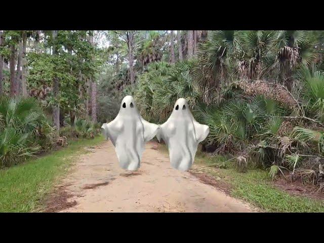 Our first trail walk at Bulow Plantation State Park.
