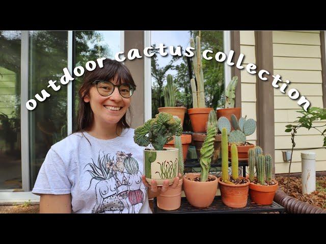 My Outdoor Cactus Collection | your sign to put your cactus outside this summer!!