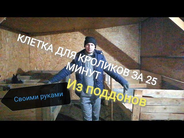 КЛЕТКА ДЛЯ КРОЛИКОВ ЗА 25 МИНУТ