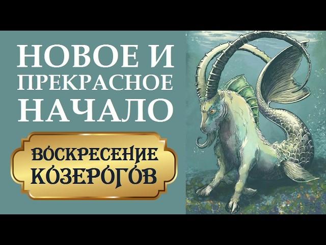 СЕКРЕТЫ И СОВЕТЫ ДЛЯ КОЗЕРОГОВ НА НОВЫЙ ЦИКЛ САТУРНА.  ШКОЛА ВЫЖИВАНИЯ ДЛЯ КОЗЕРОГОВ