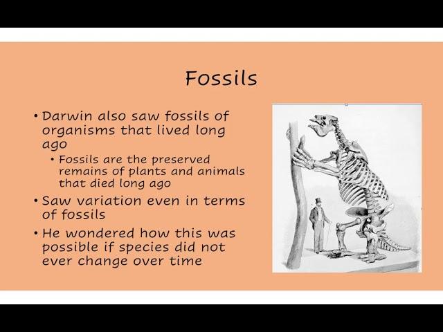 4-16-2020 Science: Darwin’s Theory