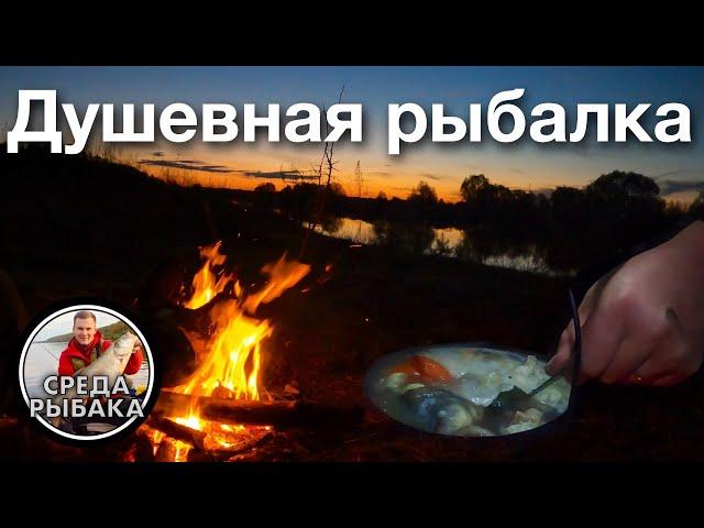 РЫБАЛКА НА ОКЕ С НОЧЕВКОЙ. УХА по ДЕРЕВЕНСКИ! Ловля на поплавок на майского жука. Походная кухня.
