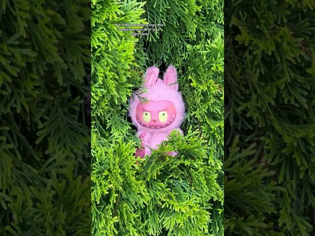 ⁠@popmartusa #labubu #labubus #labubuthemonsters #diy #popmart #popmartus #popmartlabubu #plush