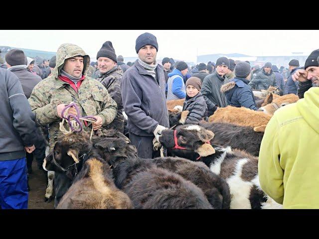 Нархҳо Қимат Савдо нест Молбозори Ленский Раёни ш.Душанбе 18.12 2024 г