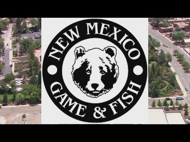 New Mexico Game and Fish considers increasing license prices, changing department name