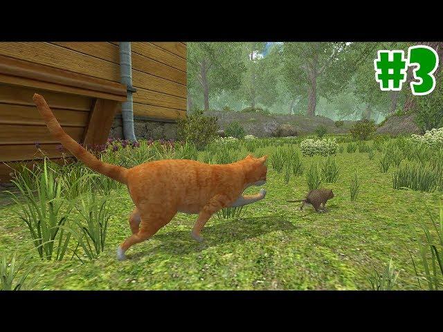 Mouse Simulator : Rat Rodent Animal - Life of Mouse  - Gameplay Episode 3