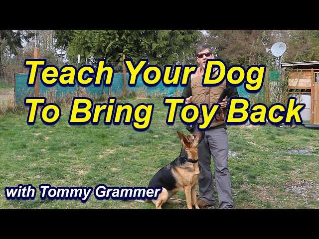 Simple Trick to teach your dog to bring toy back