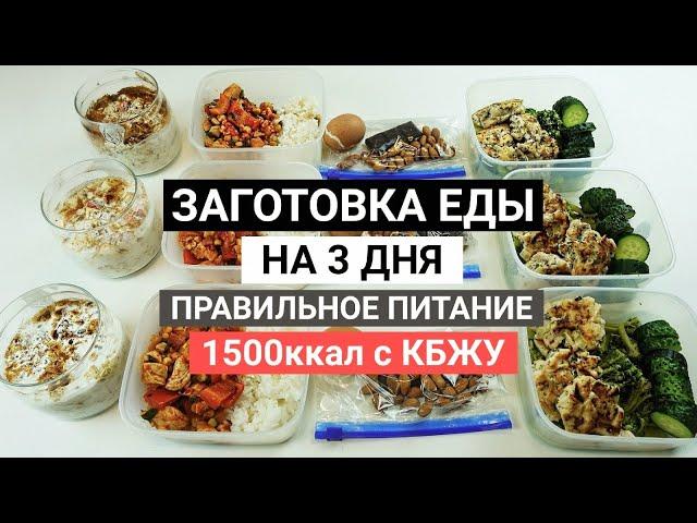 ЗАГОТОВКА ЕДЫ НА 3 ДНЯ | Рацион на 1500 кал с бжу для похудения |  Правильное питание MEAL PREP