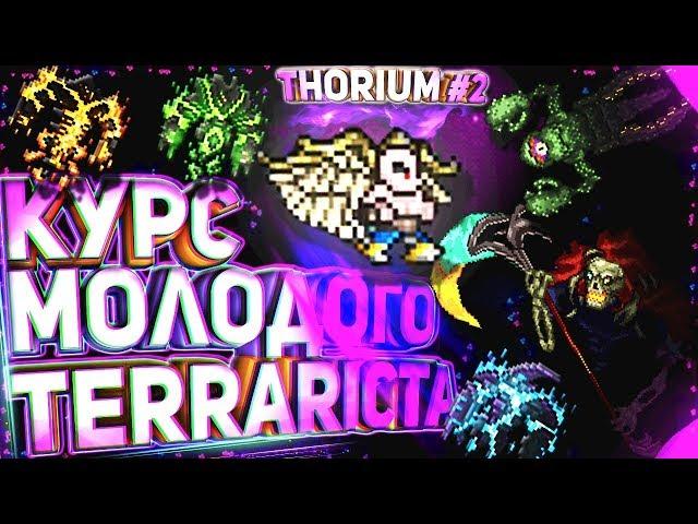 Курс Молодого Terrariста | Thorium Edition | Лучший гайд по террарии | Часть 2