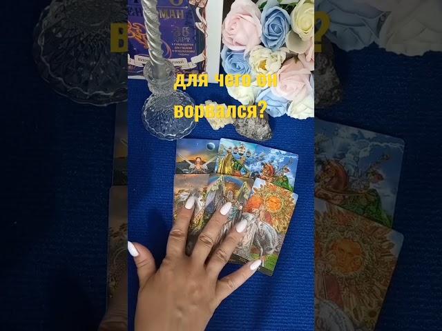 Светлана Таро! Вера, надежда, любовь  #таро