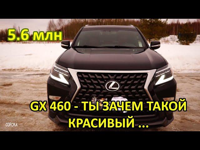 LEXUS GX 460 ты ЗАЛИЗАНЫЙ PRADO ?! Почему ты ЛУЧШЕ TOYOTA LAND CRUISER