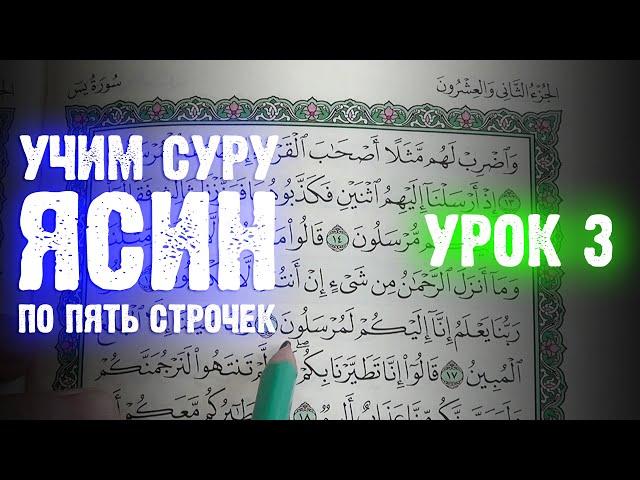 Урок 3 - Учим "ЯСИН" (по пять строчек) / 36-я сура Корана