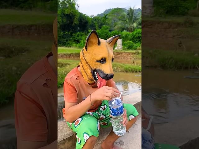 A good dog saves people