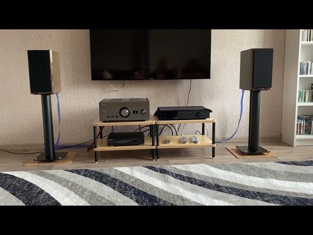 Dynaudio Special Forty