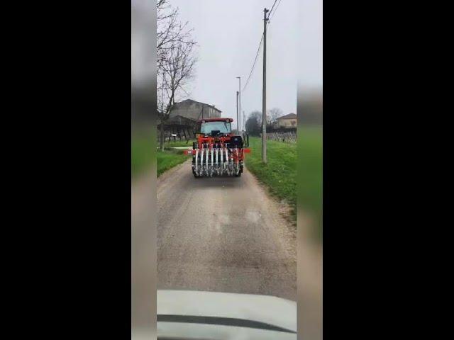 Sarchiatura su cipolla invernale con la sarchiatrice Rotovert TILT-I per cipolla a fila singola