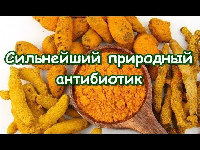 Сильнейший природный антибиотик