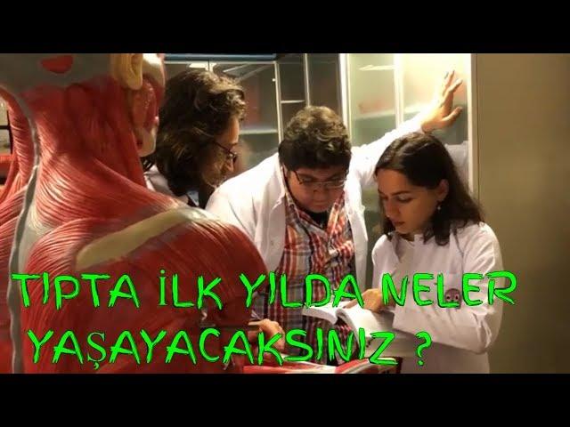 TIP FAKÜLTESİNDE İLK SENE | DETAYLI ANLATIYORUM