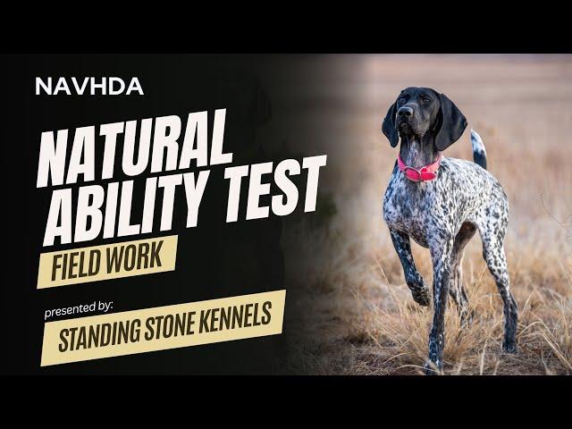 NAVHDA Natural Ability Test - Field Phase