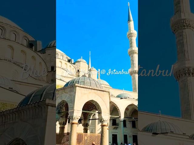 Blue Mosque in Istanbul Turkey #video #youtubeshorts #yshorts #travel #trending  #trendingshorts