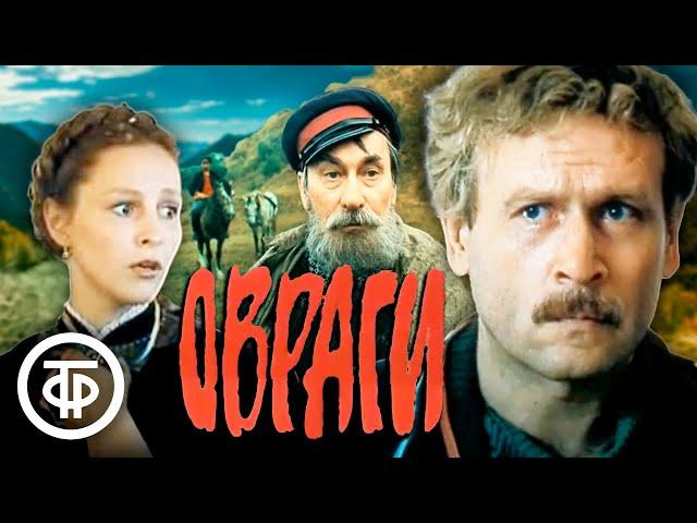 Овраги. В главной роли Борис Невзоров (1990)