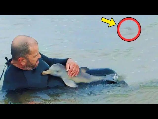 Man Rescues Baby Dolphin – Then a Woman Yells and Points Behind Him
