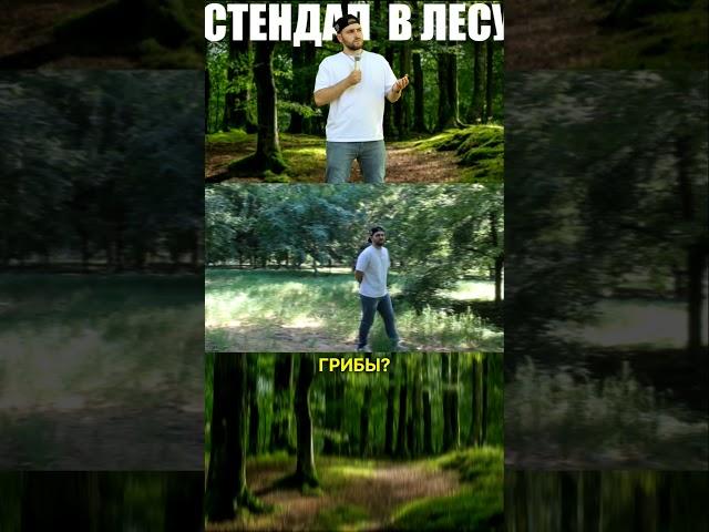 Стендап про грибников в лесу / Роберт Рейнольдс Stand Up #стендап