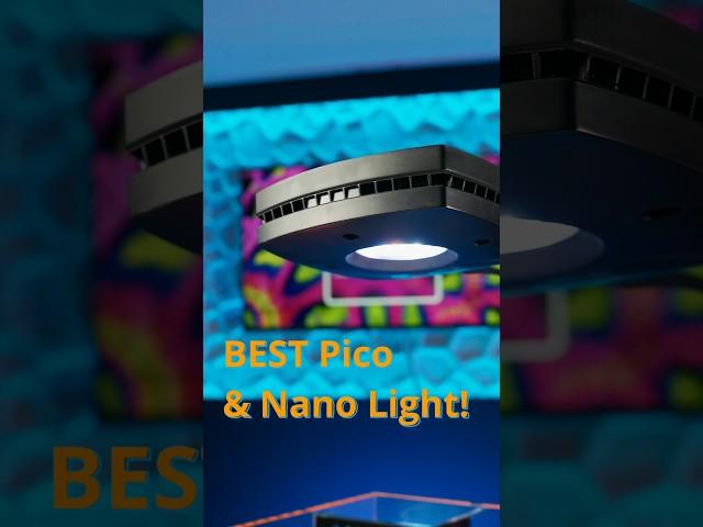 Is This the Best Nano Reef Tank Lighting Solution?