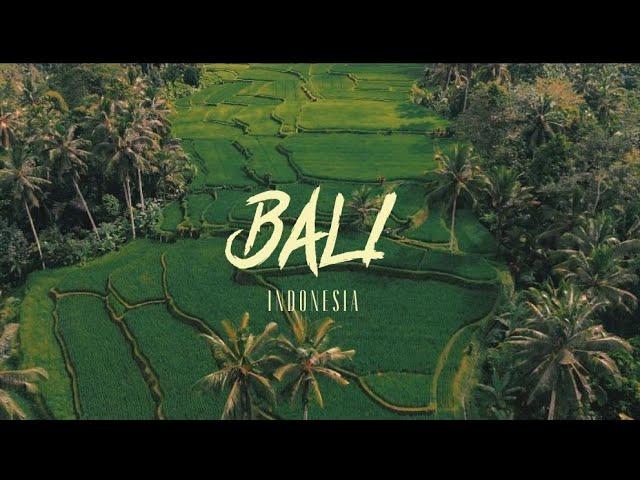 B A L I  |  Cinematic travel video 2024