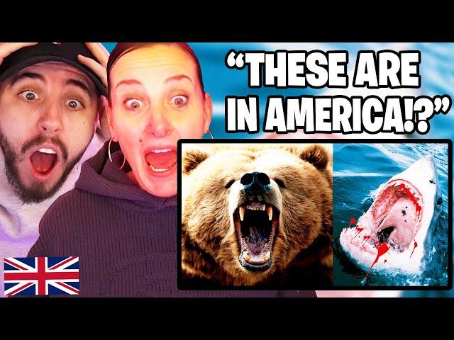 British Mum Reacts to the Most DANGEROUS ANIMALS In The UNITED STATES 