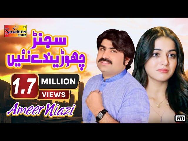 Sajan Chorenday Nai | Ameer Niazi | ( Official Video ) | Shaheen Studio