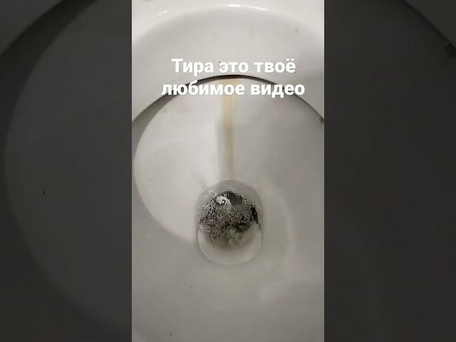 мемный нацист скатина