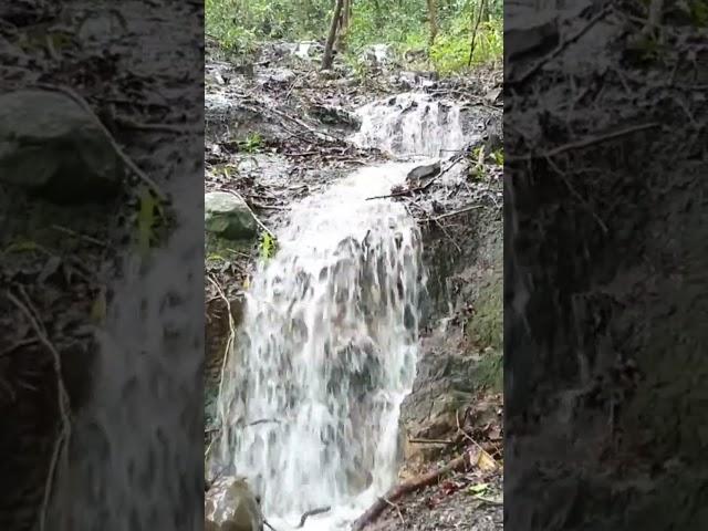 Waterfall at La Nicolière after heavy rainfalls in the region | #Mauritius | 08 March 2022 #shorts