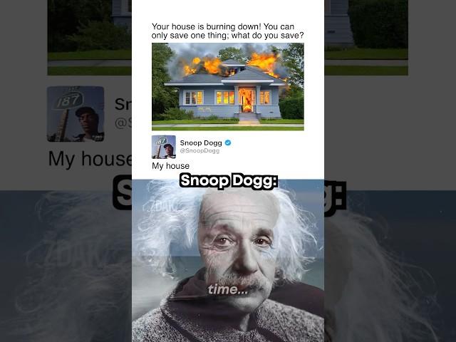 Big brain 